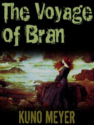 Cover of the book The Voyage Of Bran by Florence Prescott