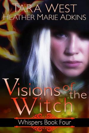 Cover of the book Visions of the Witch by *lizzie starr