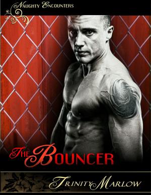 Book cover of The Bouncer