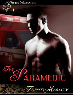 Cover of the book The Paramedic by Jamie DeBree