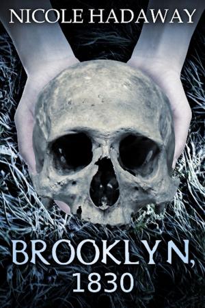 Cover of the book Brooklyn, 1830 by Troy Dennison