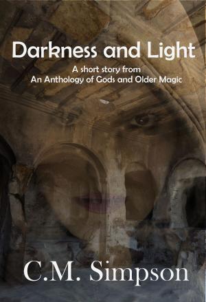 Cover of the book Darkness and Light by Carlie Simonsen