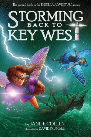 Cover of the book Storming Back to Key West by Tristan Gregory