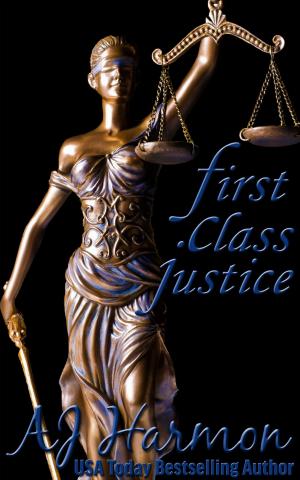 Book cover of First Class Justice