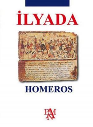 Cover of the book İlyada by Fyodor Mihayloviç Dostoyevski