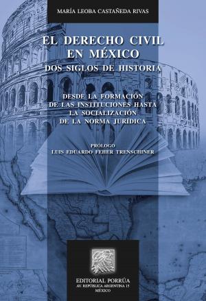 Cover of El derecho civil en México: dos siglos de historia. Desde la formación de las instituciones hasta la socialización de la norma jurídica