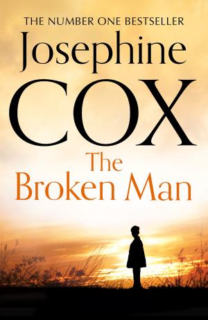 Cover of the book The Broken Man by Mike Phillips