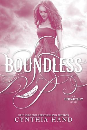 Cover of the book Boundless by Carolyn Mackler