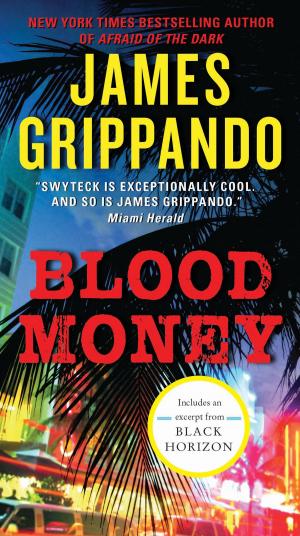 Cover of the book Blood Money by Kris Hack