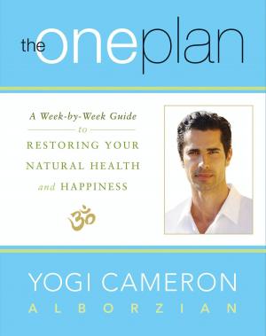 Book cover of The One Plan