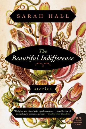 Cover of the book The Beautiful Indifference by Charlie Smith