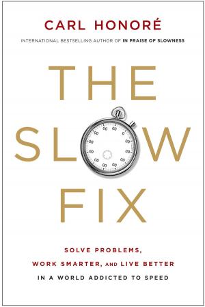 Cover of the book The Slow Fix by Dr John G Ryan MD