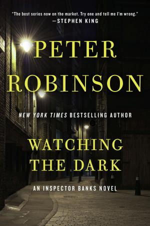 Cover of the book Watching the Dark by Vincent Pedre