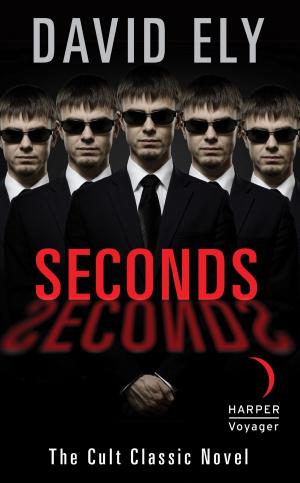 bigCover of the book Seconds by 
