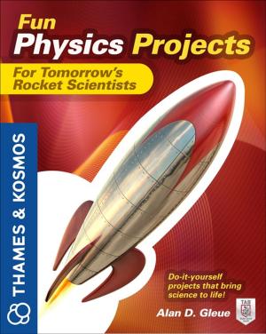 Cover of the book Fun Physics Projects for Tomorrow's Rocket Scientists by Dan Vlamis, Tim Vlamis