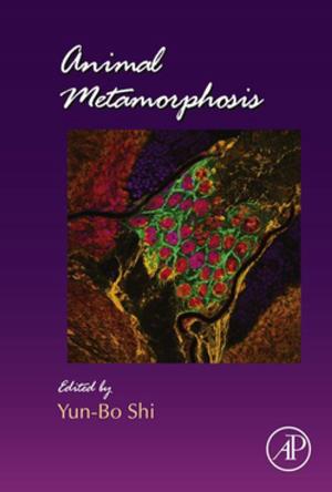 Cover of the book Animal Metamorphosis by Peter Roddy