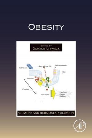 Cover of the book Obesity by Renata Dmowska