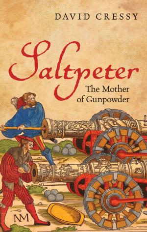 Cover of the book Saltpeter by Christina Rossetti