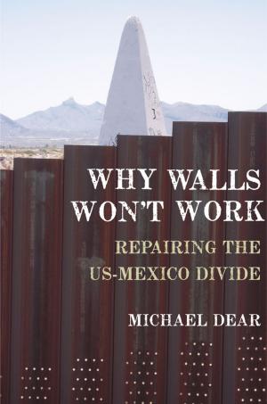 Cover of the book Why Walls Won't Work by Adil E. Shamoo, David B. Resnik