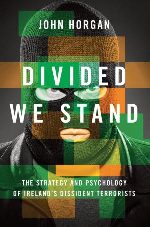 Cover of the book Divided We Stand by Louis Kriesberg