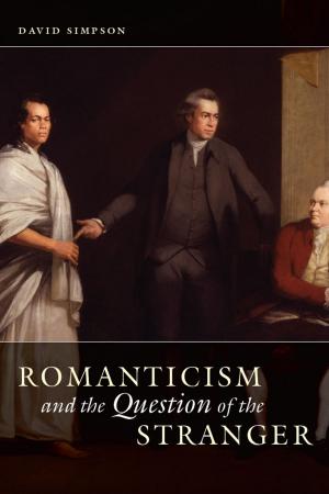 Cover of the book Romanticism and the Question of the Stranger by Stephan Palmié
