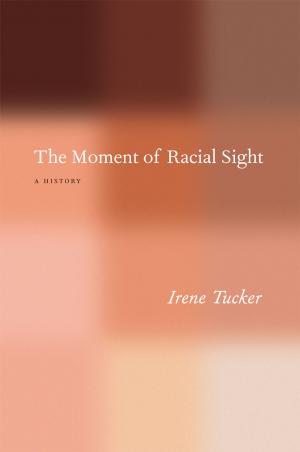 Cover of the book The Moment of Racial Sight by Bob Gluck