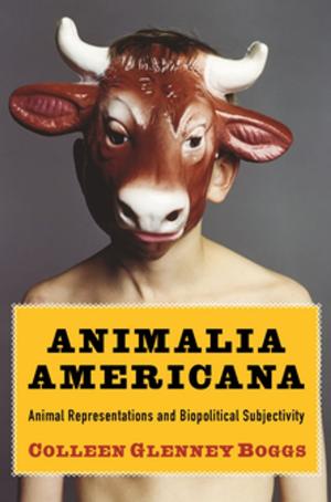 Cover of the book Animalia Americana by 