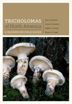 Book cover of Tricholomas of North America