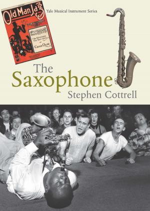 Cover of the book The Saxophone by Iryna Vushko