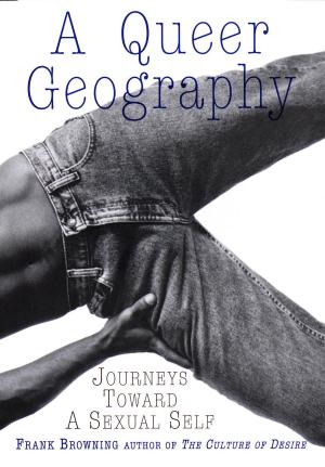 Cover of the book A Queer Geography by R. L. Norman