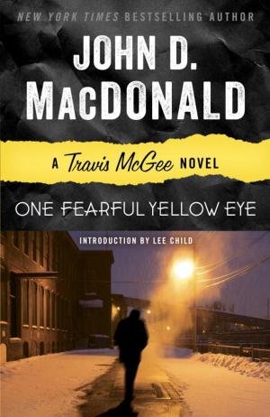 Cover of the book One Fearful Yellow Eye by Jean Stone