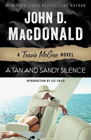 Book cover of A Tan and Sandy Silence