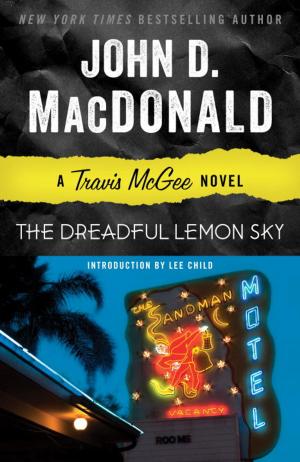 Book cover of The Dreadful Lemon Sky