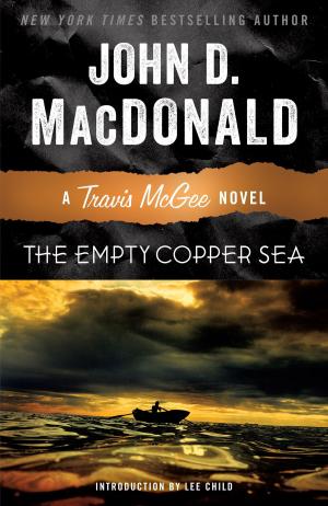 Book cover of The Empty Copper Sea