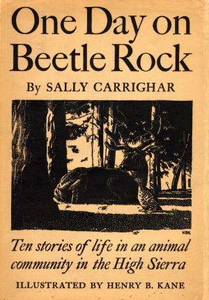 Cover of the book One Day On Beetle Rock by Sheryl Sandberg