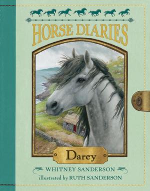 Book cover of Horse Diaries #10: Darcy