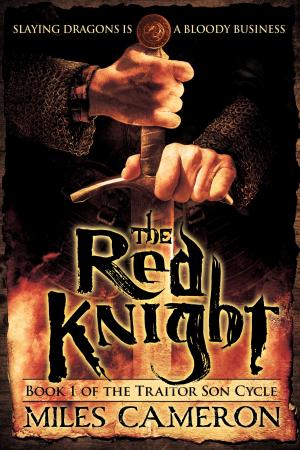 Cover of the book The Red Knight by K. J. Parker