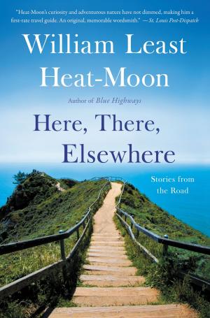 Cover of the book Here, There, Elsewhere by Sarah Lotz