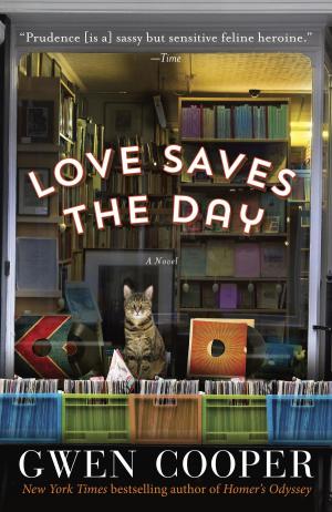 Cover of the book Love Saves the Day by Stephen Woodworth