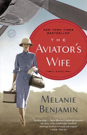 Cover of the book The Aviator's Wife by Julian May