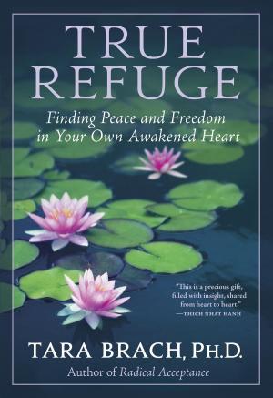 Cover of the book True Refuge by Laura Andersen