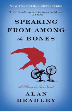 Book cover of Speaking from Among the Bones