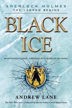 Cover of the book Black Ice by Michael Bornstein, Debbie Bornstein Holinstat