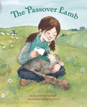 Book cover of The Passover Lamb