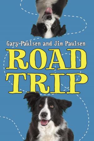Cover of the book Road Trip by Sarah Miller