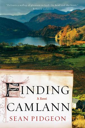 Cover of the book Finding Camlann: A Novel by James Barr