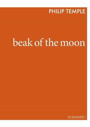 Cover of the book Beak of the Moon by Florence Heckel Russell