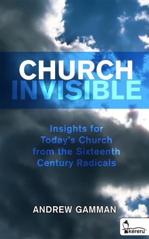 Cover of Church Invisible