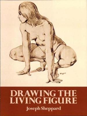 Cover of the book Drawing the Living Figure by Plato