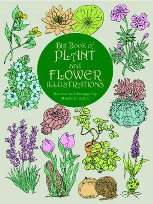 Cover of the book Big Book of Plant and Flower Illustrations by Howard L. Resnikoff, Raymond O. Wells, Jr.